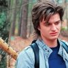 Steve Harrington Character Diamond Painting