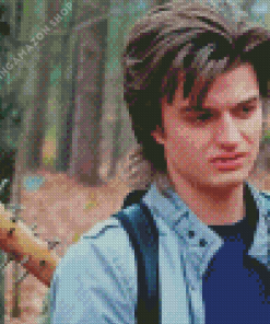 Steve Harrington Character Diamond Painting