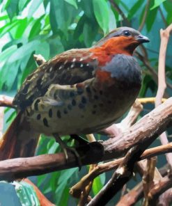 Chinese Bamboo Partridge On Branch Diamond Painting