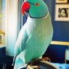 Green Indian Ringneck Bird Diamond Painting