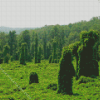 Kudzu Landscape Diamond Painting