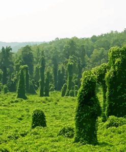 Kudzu Landscape Diamond Painting