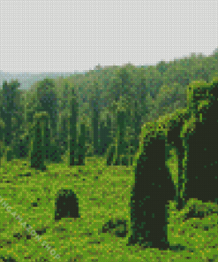 Kudzu Landscape Diamond Painting