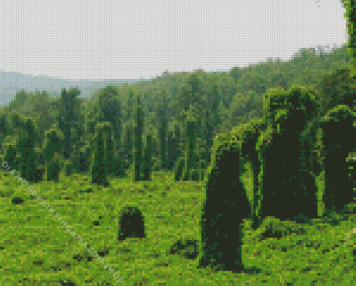 Kudzu Landscape Diamond Painting