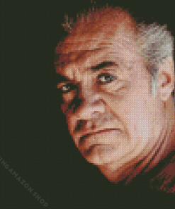 Paulie Walnuts Character Diamond Painting