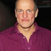 Woody Harrelson Actor Diamond Painting