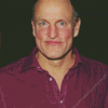 Woody Harrelson Actor Diamond Painting