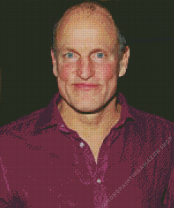 Woody Harrelson Actor Diamond Painting