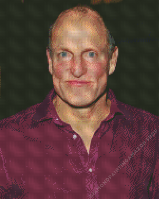 Woody Harrelson Actor Diamond Painting