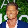 David Hasselhoff Smiling Diamond Painting