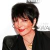 Liza Minnelli Actress Diamond Painting