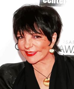 Liza Minnelli Actress Diamond Painting