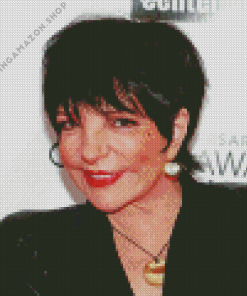 Liza Minnelli Diamond Painting