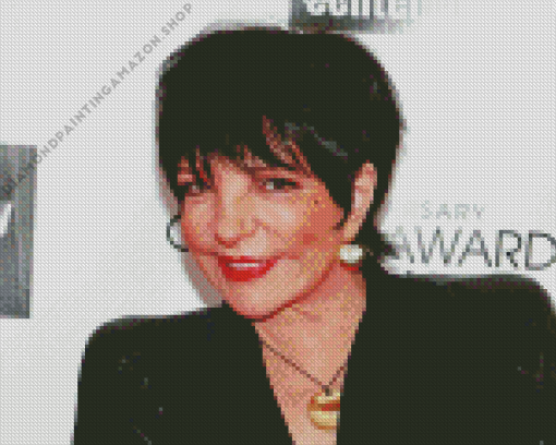 Liza Minnelli Diamond Painting