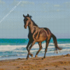 Horse At The Beach Diamond Painting