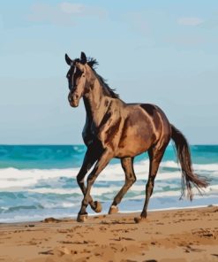 Horse At The Beach Diamond Painting