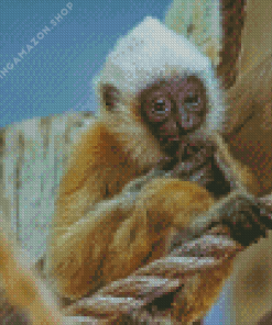 Little Gibbon Diamond Painting