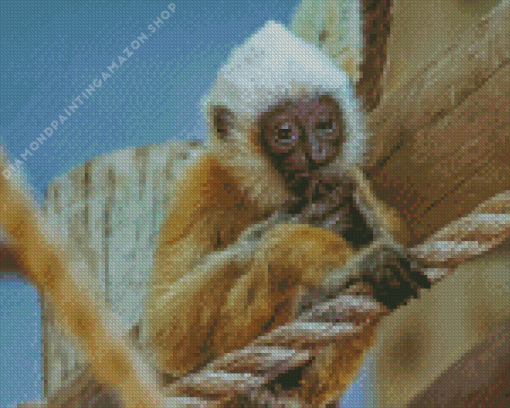 Little Gibbon Diamond Painting