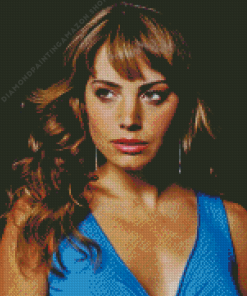 Erica Durance Actress Diamond Painting