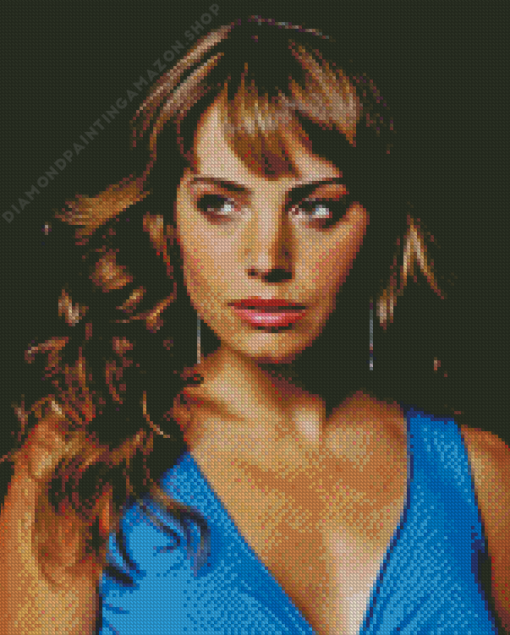 Erica Durance Actress Diamond Painting