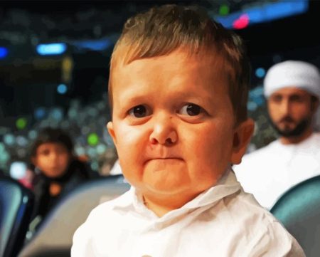 Hasbulla Diamond Painting