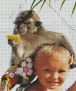 Kid And Monkey Diamond Painting