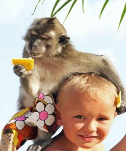 Kid And Monkey Diamond Painting