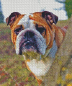 Old English Bulldog Diamond Painting