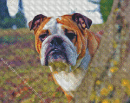 Old English Bulldog Diamond Painting