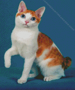 Orange Bobtail Diamond Painting