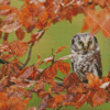 Owl In Fall Diamond Painting