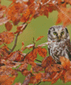 Owl In Fall Diamond Painting