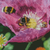 Poppy With Bees Diamond Painting