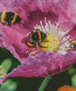 Poppy With Bees Diamond Painting