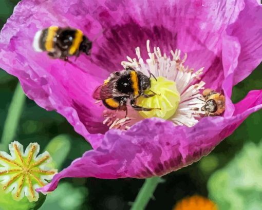 Poppy With Bees Diamond Painting