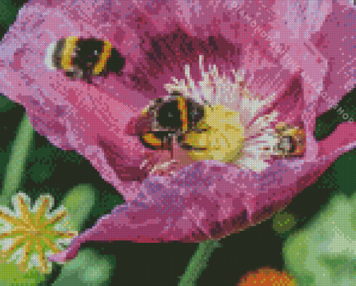 Poppy With Bees Diamond Painting