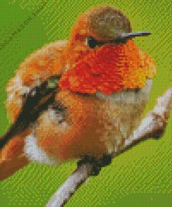 Rufous Hummingbird Diamond Painting