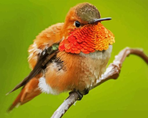 Rufous Hummingbird Diamond Painting