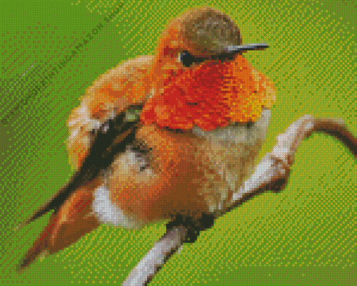 Rufous Hummingbird Diamond Painting