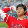 Shohei Ohtani Diamond Painting