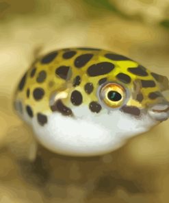 Small Puffer Fish Diamond Painting