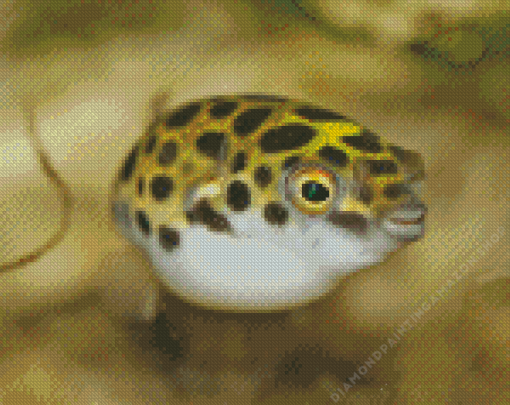 Small Puffer Fish Diamond Painting