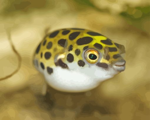 Small Puffer Fish Diamond Painting