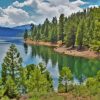 Tahoe National Forest Diamond Painting