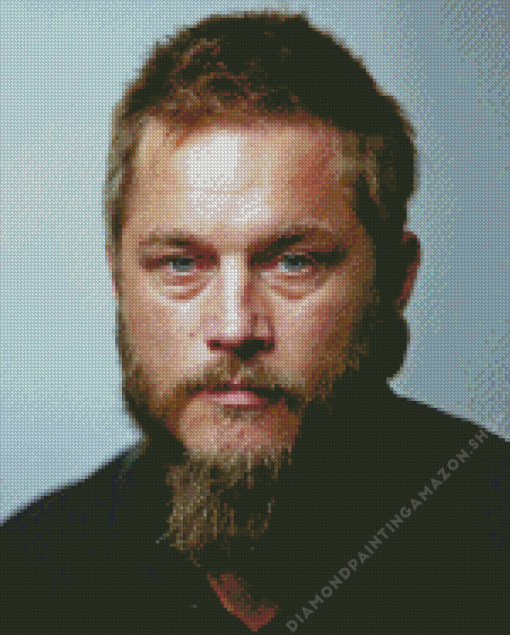 Famous Travis Fimmel Diamond Painting