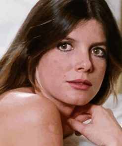 Katharine Ross Diamond Painting