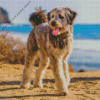 Aussiedoodle Dog Diamond Painting