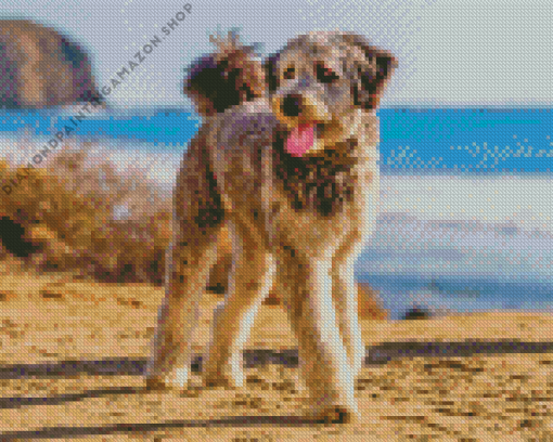 Aussiedoodle Dog Diamond Painting