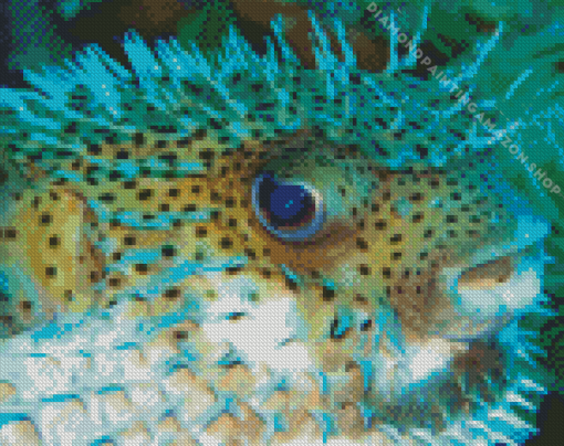 Close Up Blowfish Diamond Painting