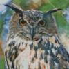 Eagle Owl Bird Diamond Painting